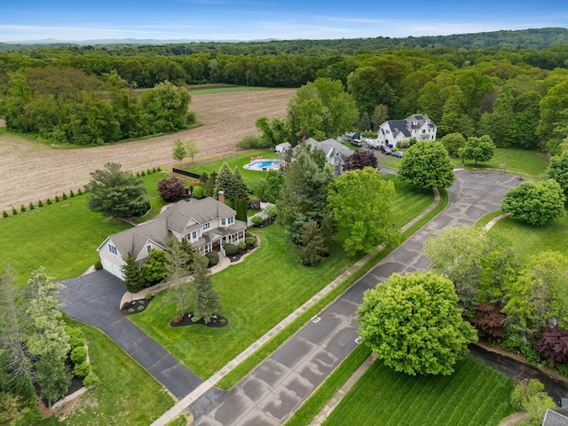 bird's eye view of a forest