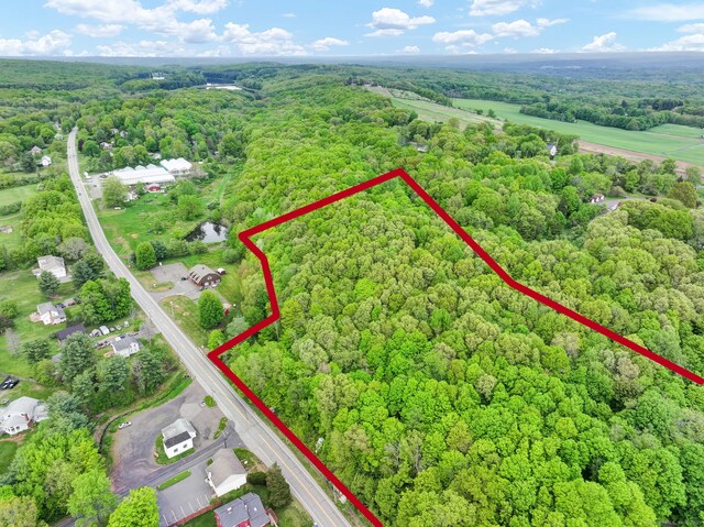 Baileyville Rd, Middlefield, CT 06455 - photo 2