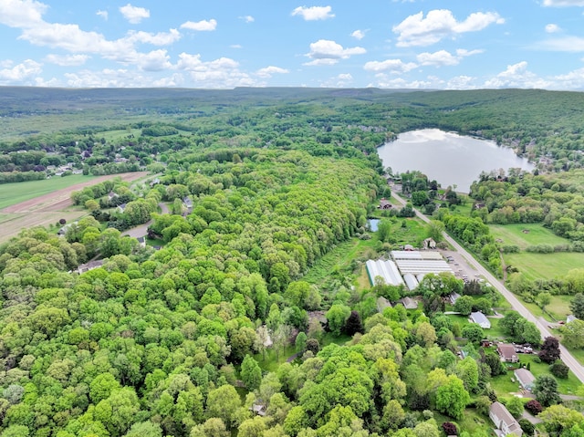 Baileyville Rd, Middlefield, CT 06455 - photo 3