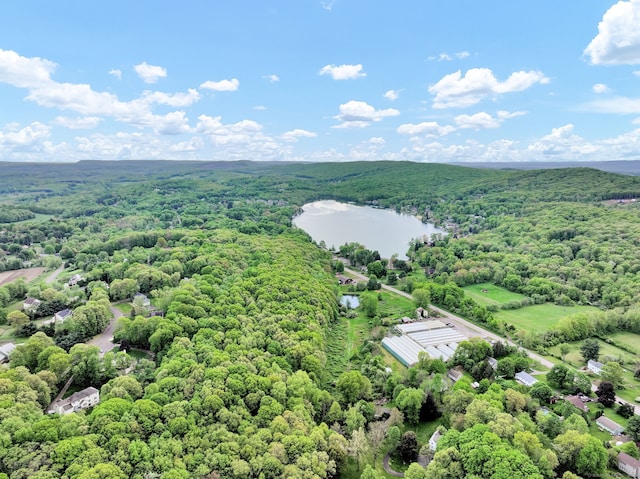Baileyville Rd, Middlefield, CT 06455 - photo 5