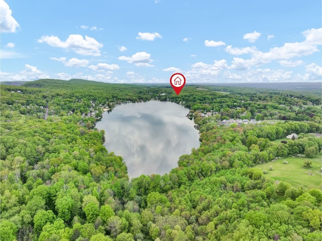 Baileyville Rd, Middlefield, CT 06455 - photo 7