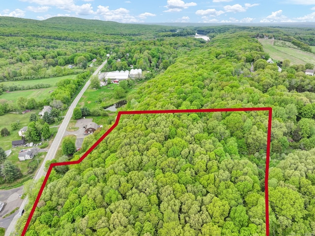 Baileyville Rd, Middlefield, CT 06455 - photo 15