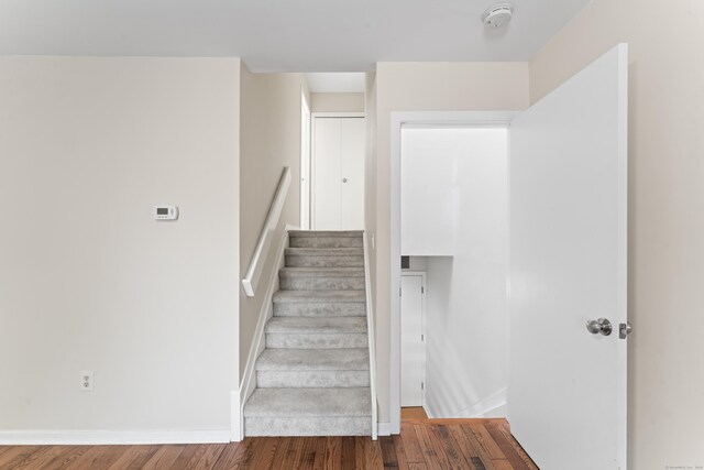 101 Grove St Apt 19, Stamford, CT 06901 - stairs featuring wood finished floors and baseboards