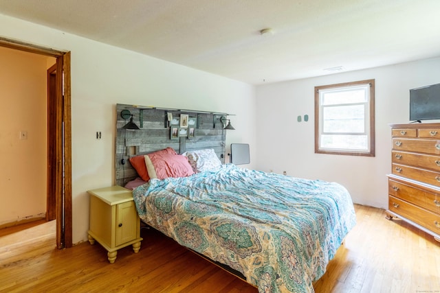 9 Berkshire Dr, East Hampton, CT 06424 - bedroom with light wood finished floors