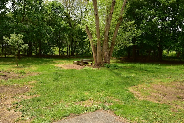 1152 Hartford Tpke, Vernon, CT 06066 - view of green lawn