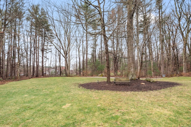 108 Lohse Rd, Willington, CT 06279 - view of green lawn