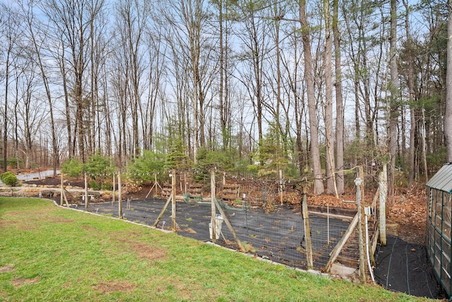 108 Lohse Rd, Willington, CT 06279 - view of grassy yard