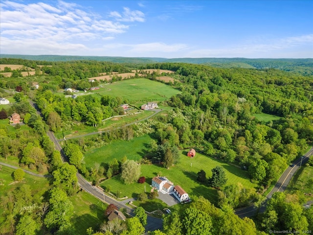299 W Flat Hill Rd, Southbury, CT 06488 - bird's eye view of a forest