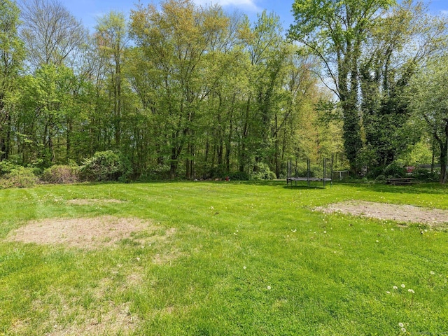 view of grassy yard featuring a trampoline