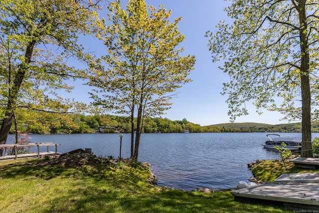 water view featuring a forest and a boat dock