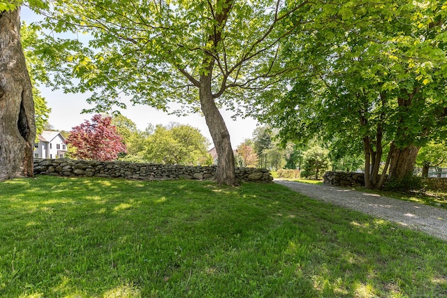 view of grassy yard