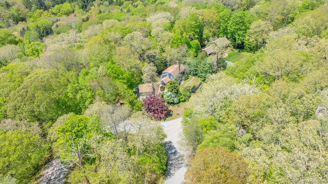12 Sandy Ln, Marlborough, CT 06447 - aerial view of a heavily wooded area