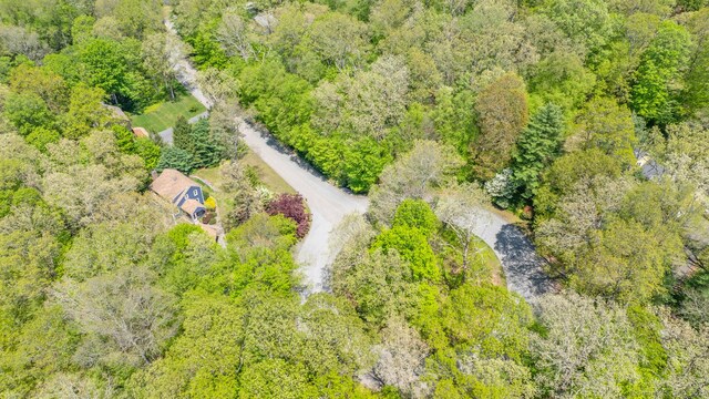 12 Sandy Ln, Marlborough, CT 06447 - bird's eye view