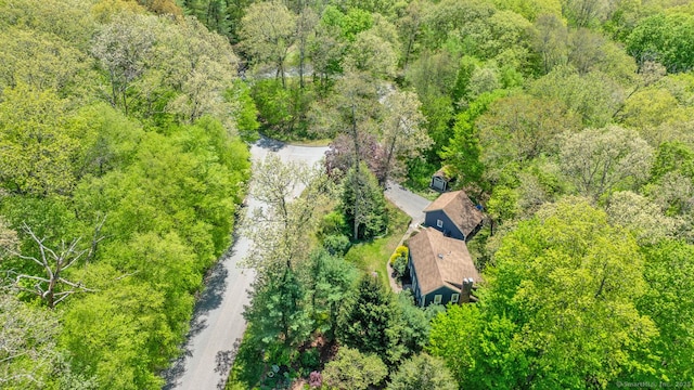 12 Sandy Ln, Marlborough, CT 06447 - view of subject property featuring a heavily wooded area