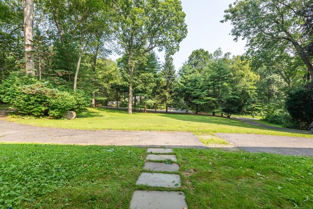 89 Old Church Rd, Oxford, CT 06478 - photo 4