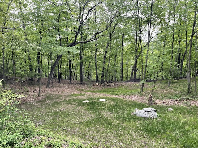 view of yard featuring a forest view