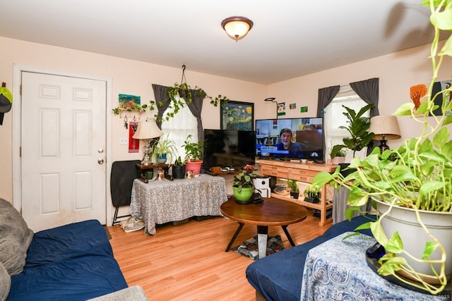 living room with wood finished floors