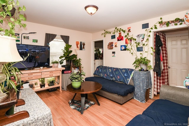living room featuring wood finished floors
