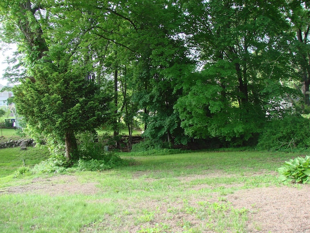 566 Savoy St, Bridgeport, CT 06606 - view of yard