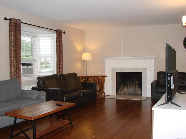 566 Savoy St, Bridgeport, CT 06606 - living room featuring wood finished floors and a fireplace
