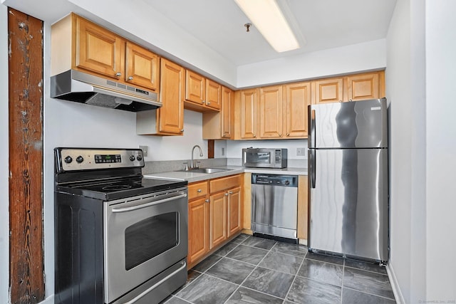 25 Grand St Apt 102, Norwalk, CT 06851 - kitchen with appliances with stainless steel finishes, under cabinet range hood, a sink, and light countertops