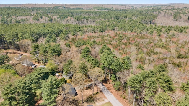 132 Bailey Pond Rd, Voluntown, CT 06384 - aerial view of a forest