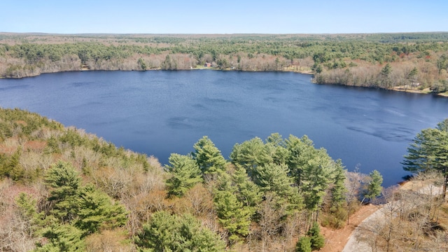 132 Bailey Pond Rd, Voluntown, CT 06384 - water view featuring a forest