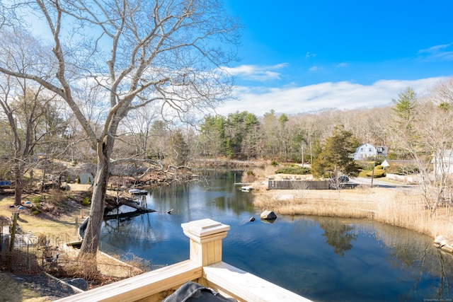 276 Niantic River Rd, Waterford, CT 06385 - dock with a water view