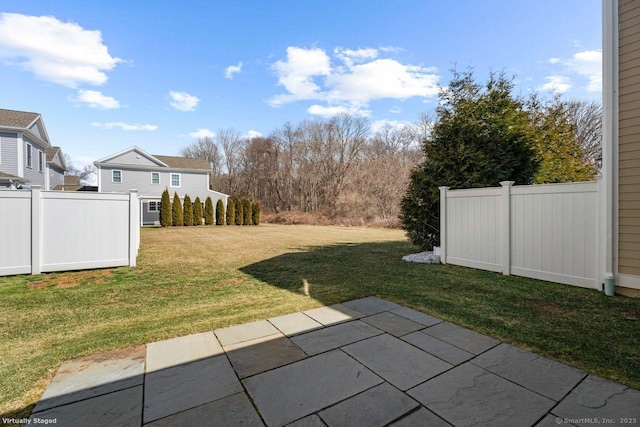 view of yard featuring a patio area