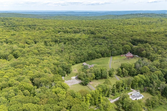 215 Blueberry Hill Rd, Harwinton, CT 06791 - aerial view of property's location featuring a heavily wooded area