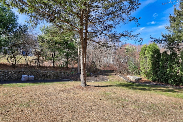2 Apple Hill Rd, Wolcott, CT 06716 - view of grassy yard