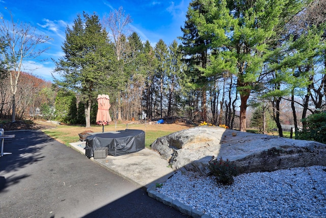 2 Apple Hill Rd, Wolcott, CT 06716 - view of yard