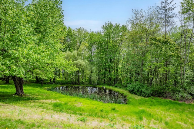 181 Railtree Hill Rd, Woodbury, CT 06798 - photo 4