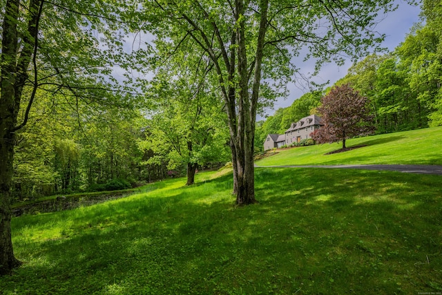181 Railtree Hill Rd, Woodbury, CT 06798 - photo 5
