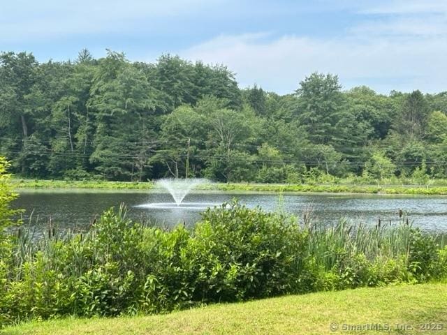 34 Clubhouse Dr Unit 23C, Woodbury, CT 06798 - water view with a heavily wooded area