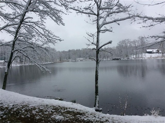 34 Clubhouse Dr Unit 23C, Woodbury, CT 06798 - water view