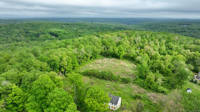 45 Daly Rd, East Hampton, CT 06424