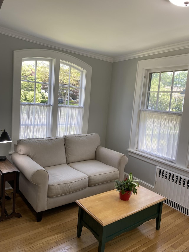 1248 Valley Rd, Fairfield, CT 06825 - living area with radiator heating unit, ornamental molding, and wood finished floors