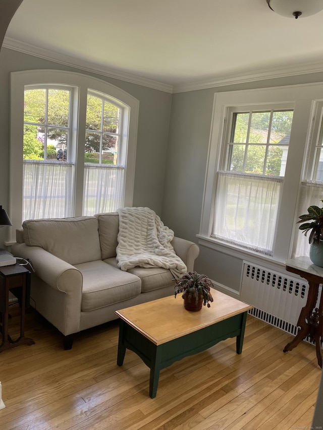 1248 Valley Rd, Fairfield, CT 06825 - living area with radiator heating unit, ornamental molding, and light wood finished floors