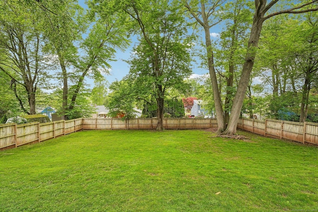 288 Robbins Ave, Newington, CT 06111 - view of yard