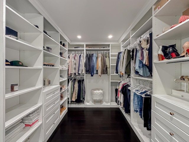 130 Wildewood Run, Bristol, CT 06010 - walk in closet featuring dark wood-style flooring