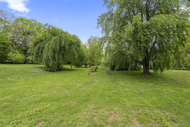 24 N Racebrook Rd, Woodbridge, CT 06525 - view of green lawn