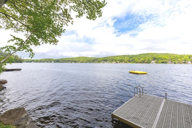dock featuring a water view and a wooded view
