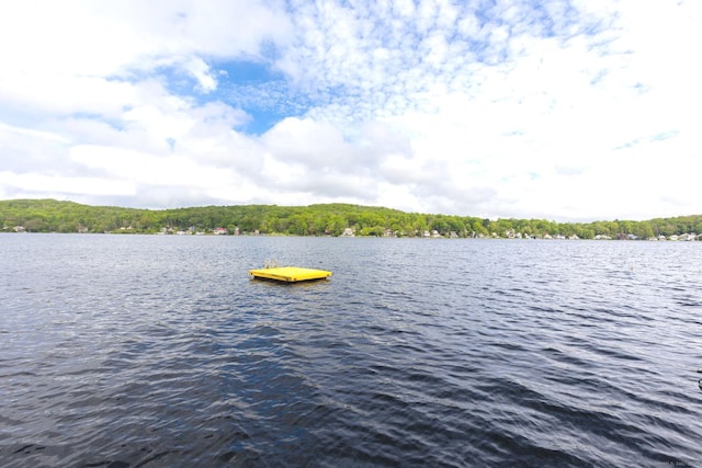 water view featuring a heavily wooded area