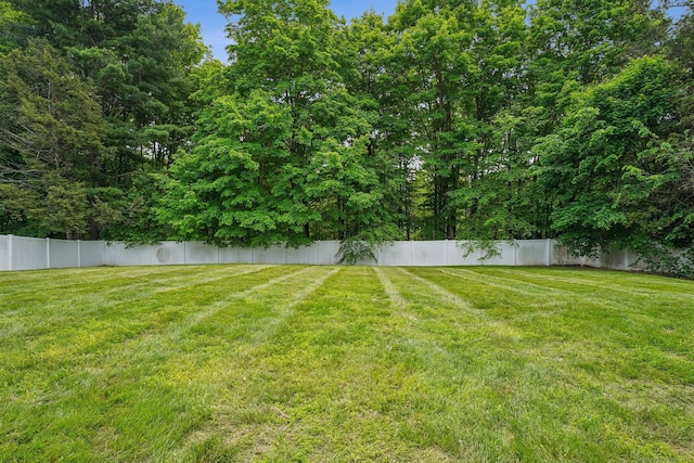 81 Edward St, Newington, CT 06111 - view of yard