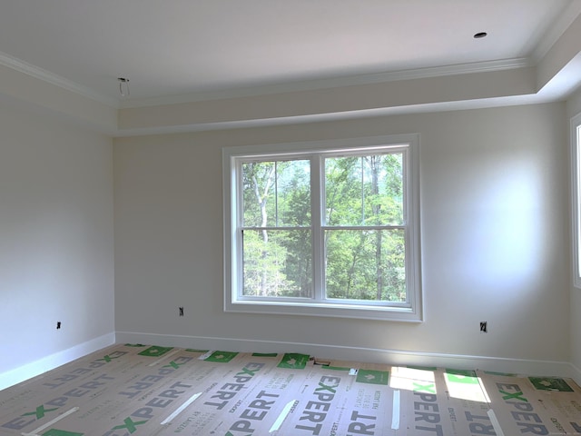 23 Melrose Dr, Cheshire, CT 06410 - unfurnished room with ornamental molding