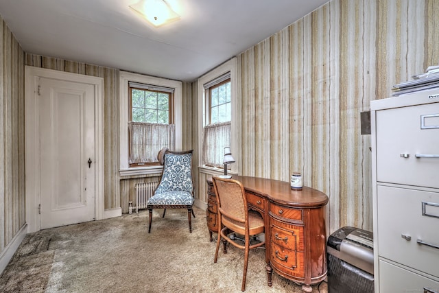 166 Roydon Rd, New Haven, CT 06511 - carpeted office space featuring radiator and wallpapered walls