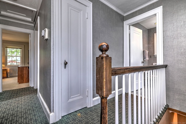 166 Roydon Rd, New Haven, CT 06511 - hall with radiator, ornamental molding, and carpet