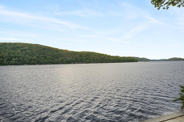 1 Shady Knls, Danbury, CT 06811 - water view featuring a forest