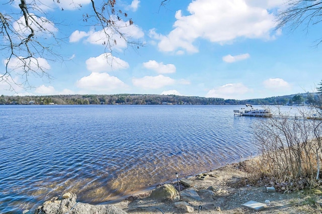 75 W Shore Rd, Ellington, CT 06029 - water view